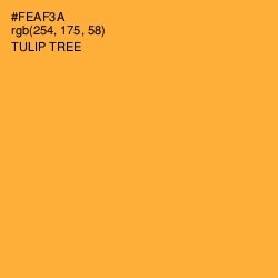 #FEAF3A - Tulip Tree Color Image